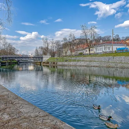 City Flow - Happy Apartamento *