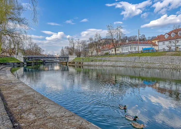 City Flow - Happy شقة *